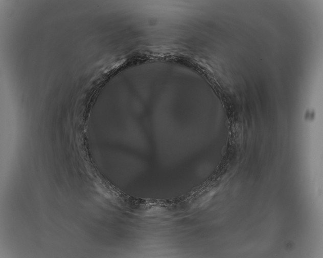 X0000091080913200708201430