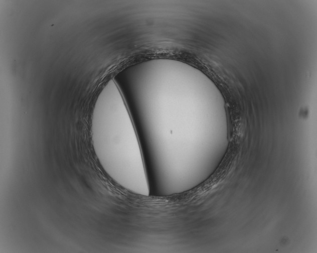 X0000091080916200708201430