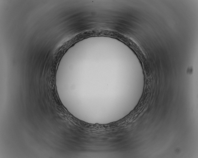 X0000091080919200708201430