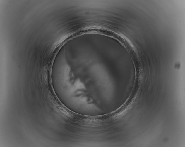 X0000091080921200708201430