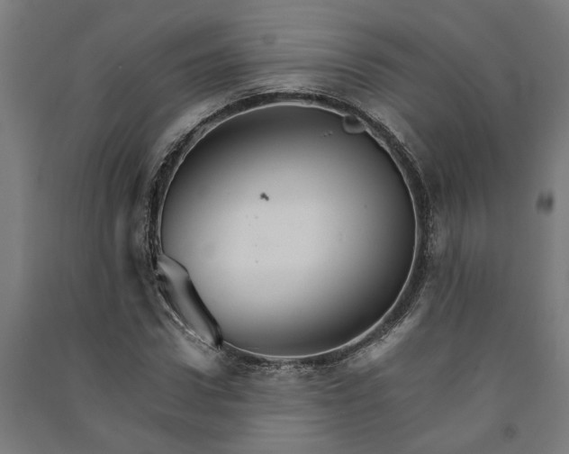 X0000091080922200708201430