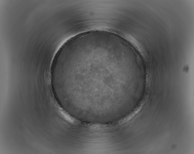 X0000091080924200708201430