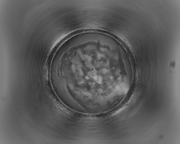 X0000091080925200708201430