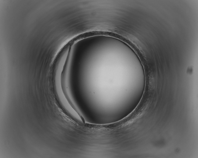 X0000091080926200708201430