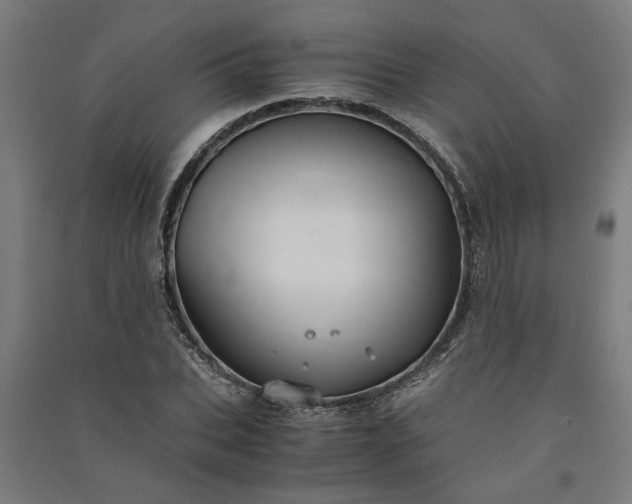 X0000091080927200708201430