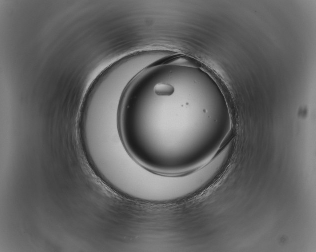 X0000091080928200708201430