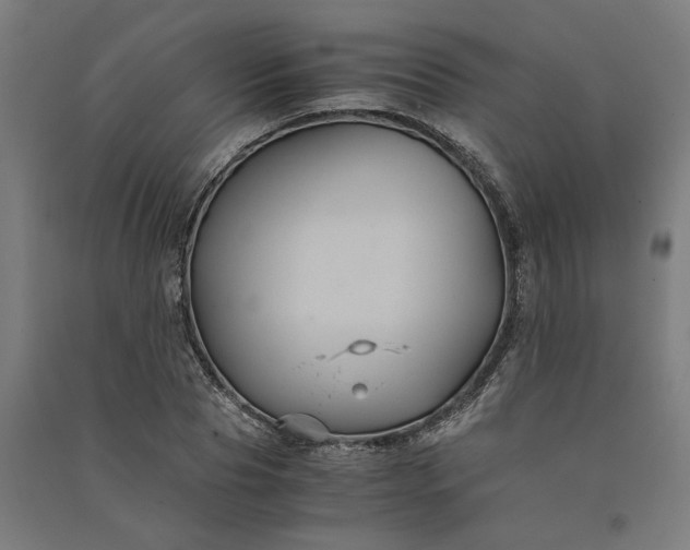 X0000091080929200708201430