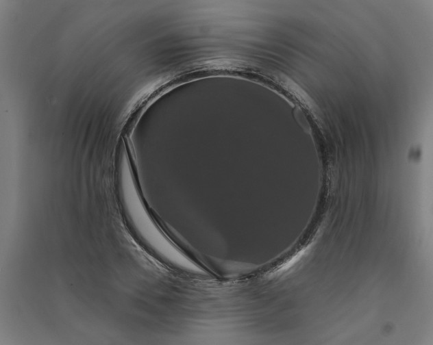 X0000091080930200708201430