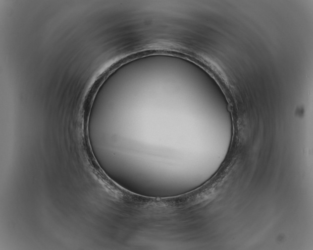 X0000091080931200708201430