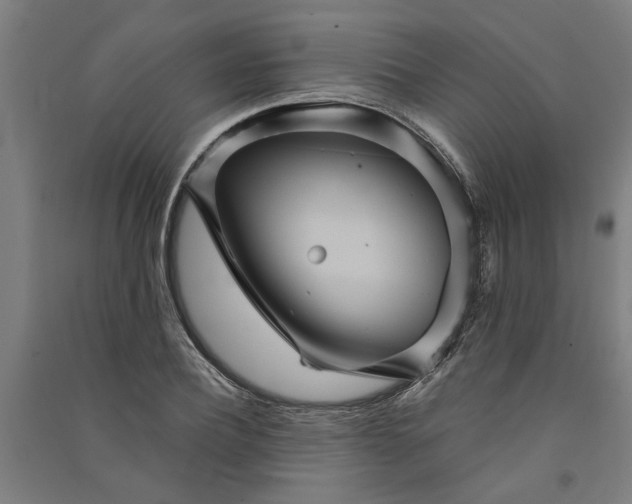 X0000091080932200708201430