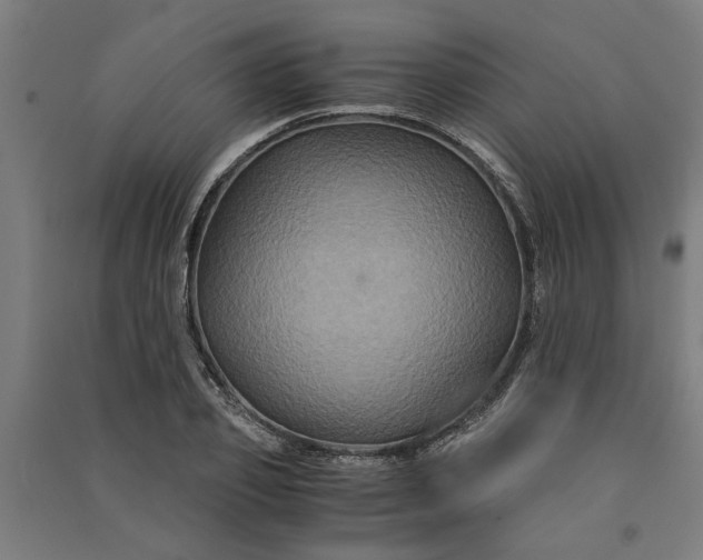 X0000091080933200708201430