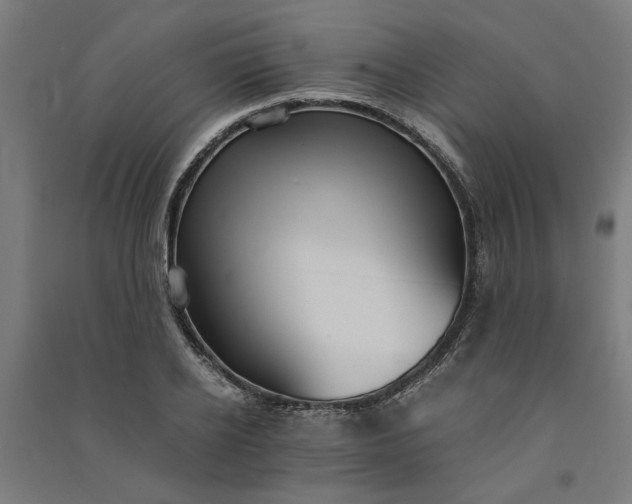 X0000091080934200708201430