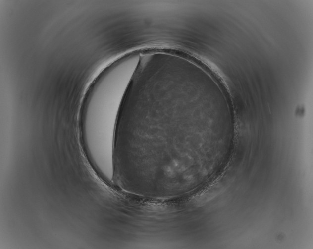 X0000091080935200708201430