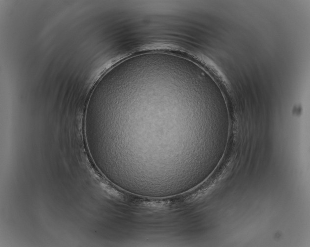 X0000091080937200708201430