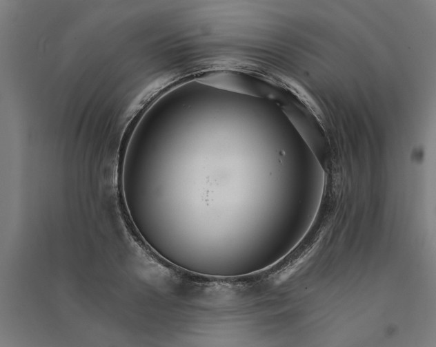 X0000091080938200708201430