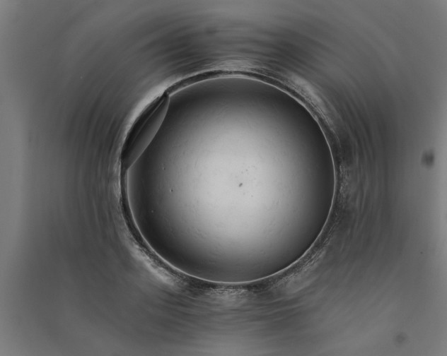 X0000091080939200708201430