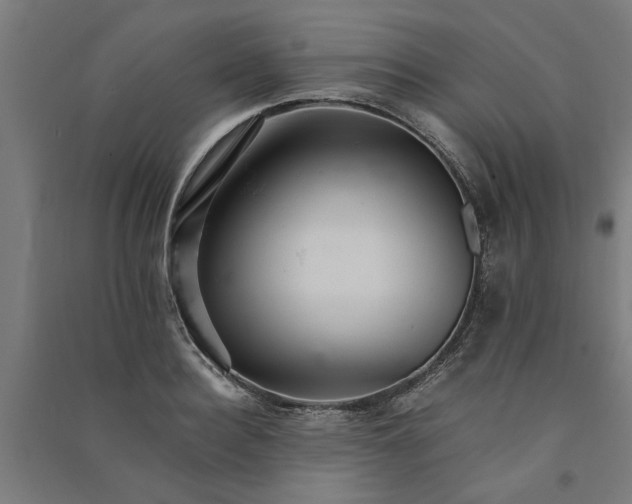 X0000091080940200708201430