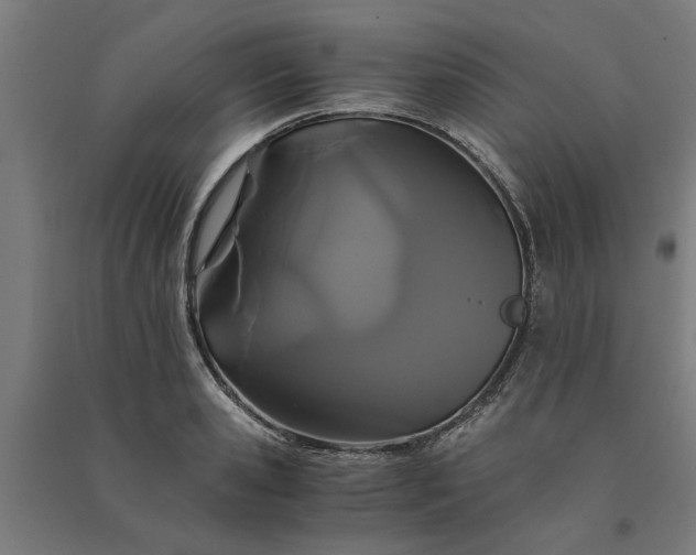 X0000091080941200708201430