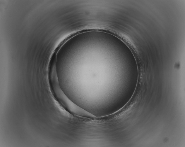 X0000091080942200708201430