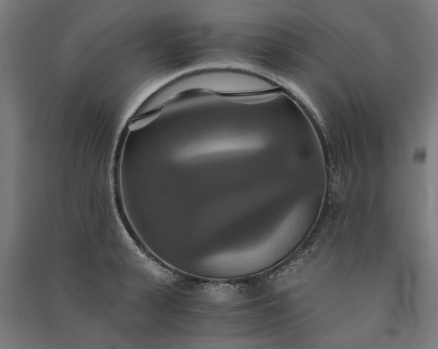 X0000091080943200708201430