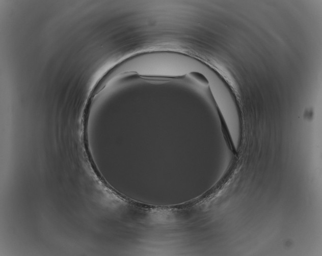 X0000091080944200708201430