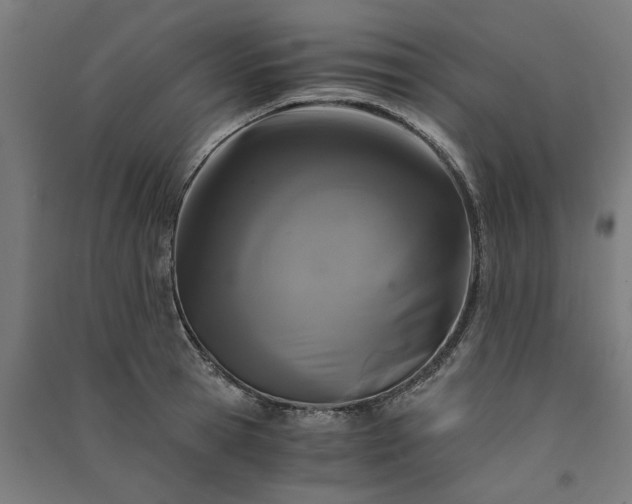 X0000091080945200708201430