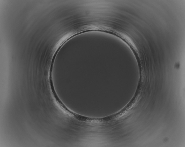 X0000091080946200708201431