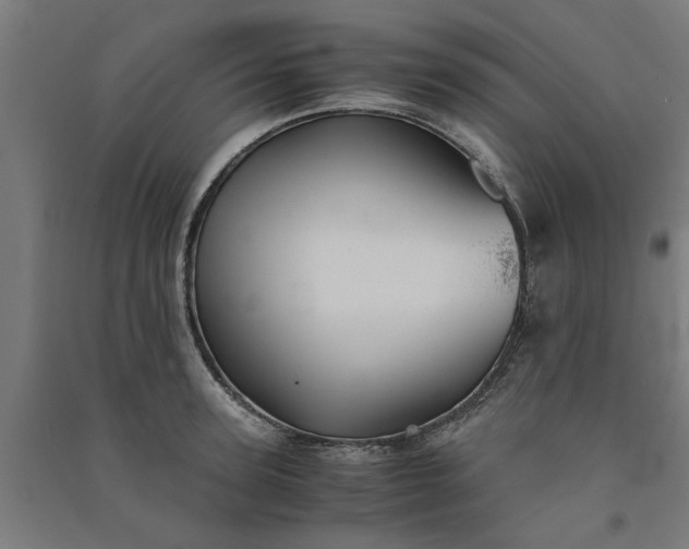 X0000091080947200708201431