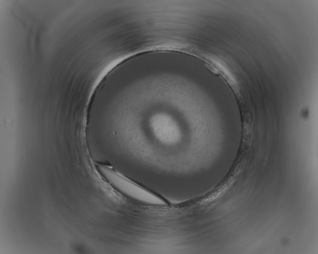 X0000091080948200708201431