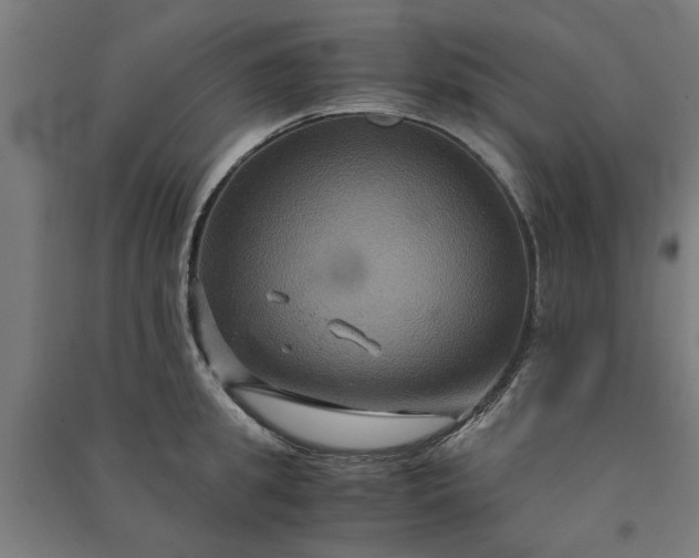 X0000091080949200708201431