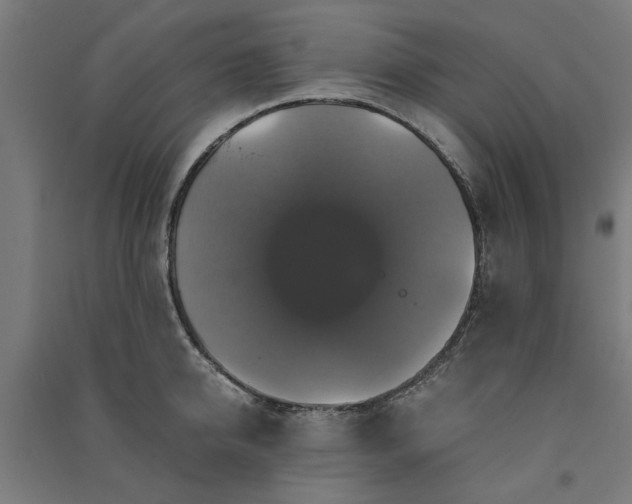 X0000091080950200708201431