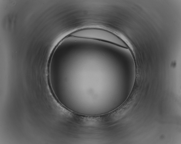 X0000091080951200708201431