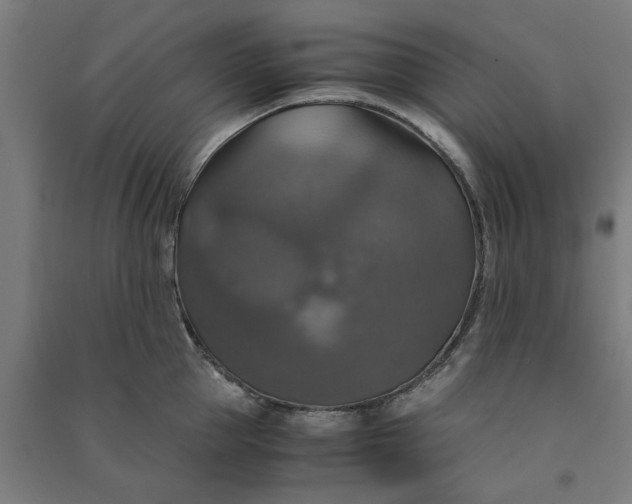 X0000091080953200708201431