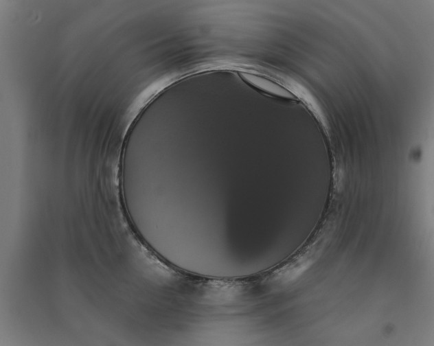 X0000091080954200708201431