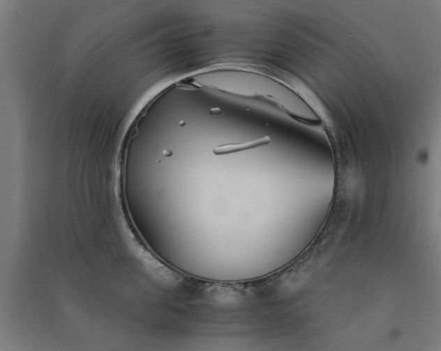 X0000091080955200708201431