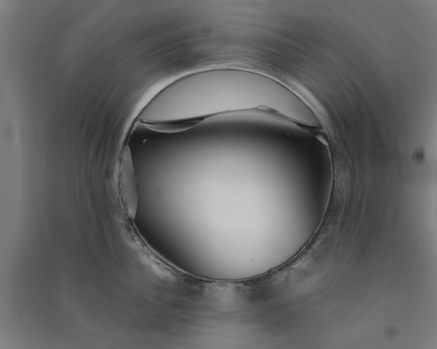 X0000091080956200708201431