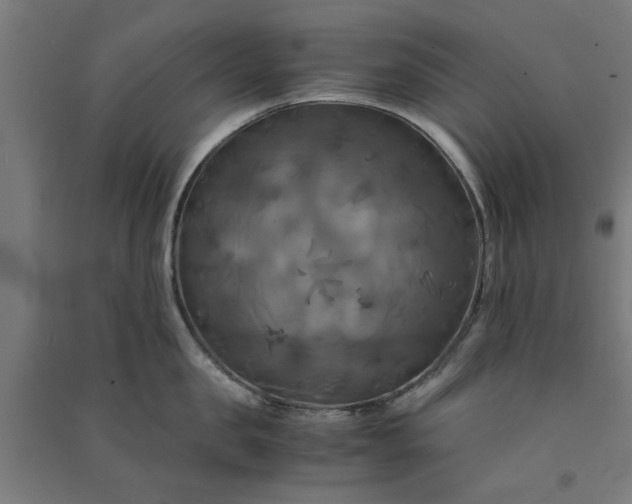 X0000091080957200708201431