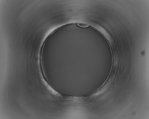 X0000091080958200708201431