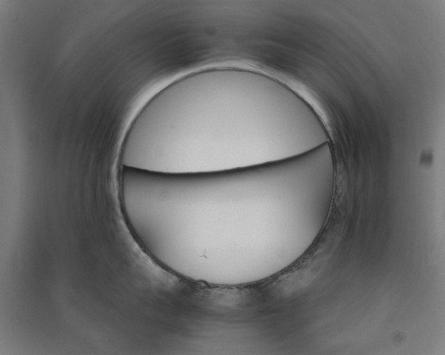 X0000091080959200708201431