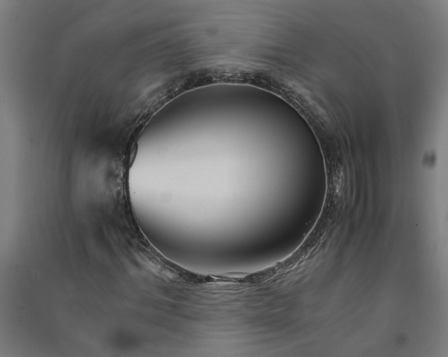 X0000091080964200708201430