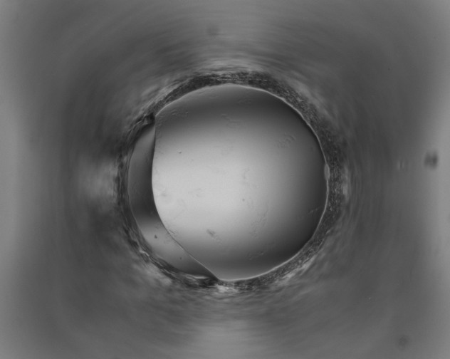 X0000091080965200708201430