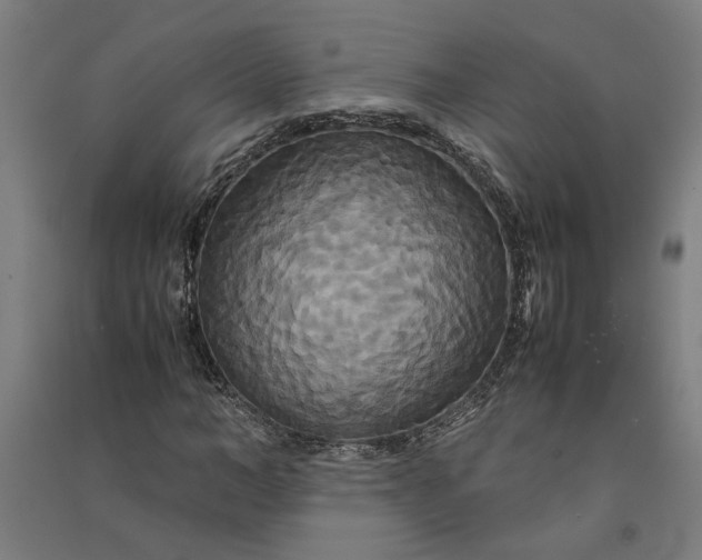 X0000091080966200708201430