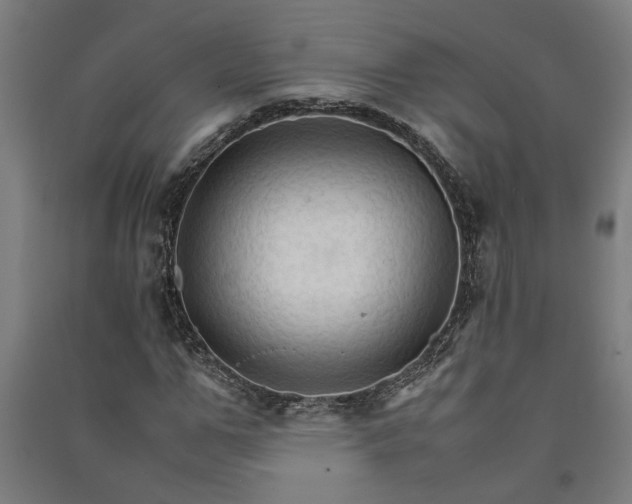 X0000091080967200708201430