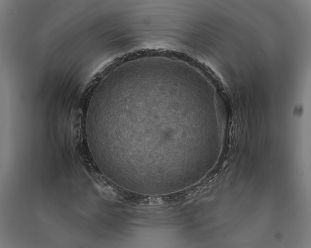 X0000091080968200708201430