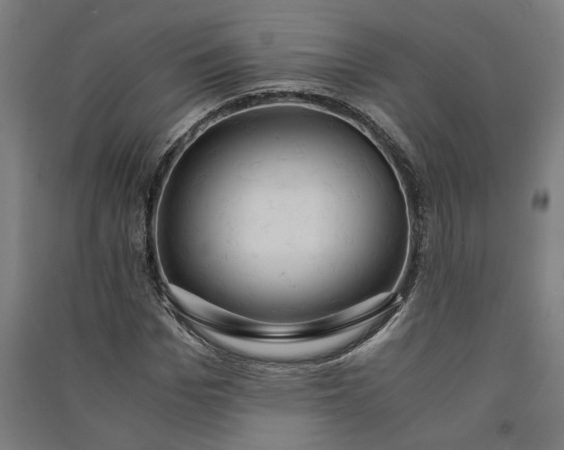 X0000091080969200708201430