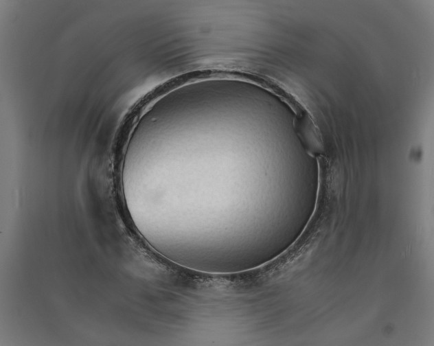 X0000091080971200708201430