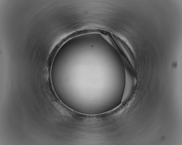 X0000091080973200708201430