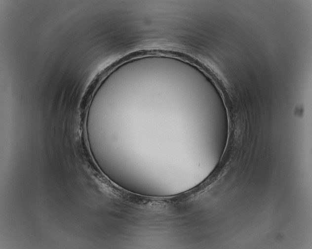 X0000091080974200708201430