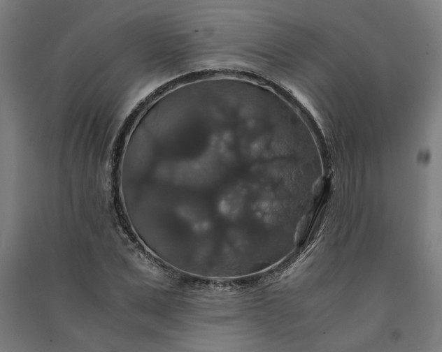 X0000091080975200708201429