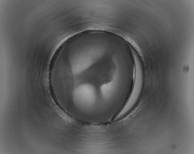 X0000091080976200708201429